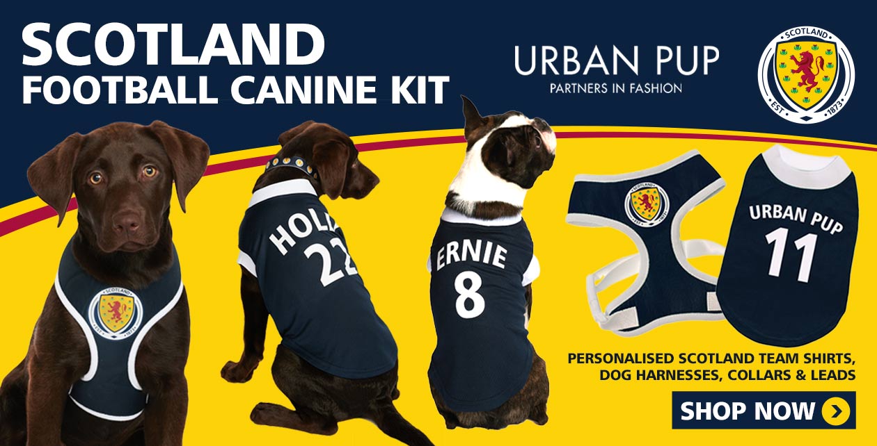 Scotland Football Canine Kit