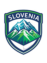 Slovenia Football Dog T-Shirt (Personalised)