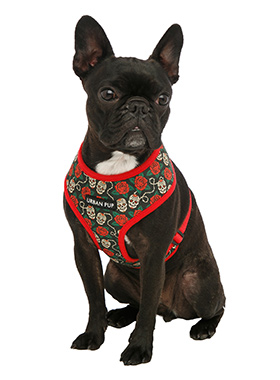 Skull and Roses Harness | Patterned Dog Harnesses at Urban Pup