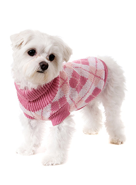 Pink Argyle Sweater | Dog Knitted Sweaters at Urban Pup