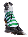 Celtic Football Team Shirt (Personalised)