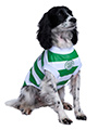 Celtic Football Team Shirt (Personalised)