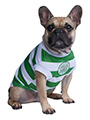 Celtic Football Team Shirt (Personalised)