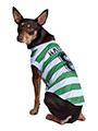 Celtic Football Team Shirt (Personalised)