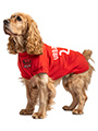 Albania Football Dog T-Shirt (Personalised)