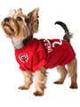 Austria Football Dog T-Shirt (Personalised)