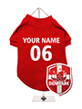 Denmark Football Dog T-Shirt (Personalised)