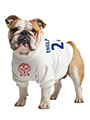 England Football Dog T-Shirt (Personalised)