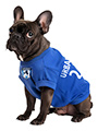 France Football Dog T-Shirt (Personalised)