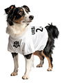 Germany Football Dog T-Shirt (Personalised)