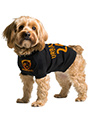 Netherlands Football Dog T-Shirt (Personalised)