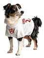 Poland Football Dog T-Shirt (Personalised)