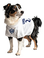 Scotland Football Dog T-Shirt (Personalised)