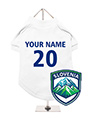 Slovenia Football Dog T-Shirt (Personalised)