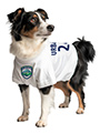 Slovenia Football Dog T-Shirt (Personalised)