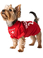 Switzerland Football Dog T-Shirt (Personalised)